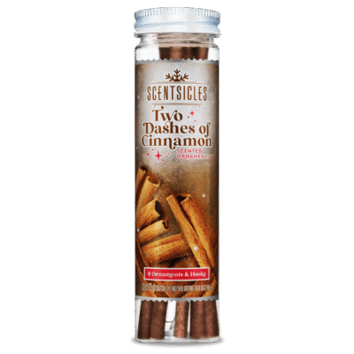 Scentsicles Two Dashes of Cinnamon Scent Sticks, Set of 6