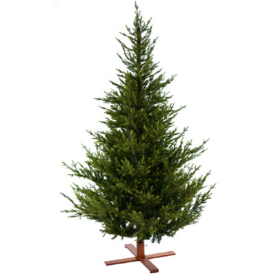 Sami Mountain Spruce Collection. Pre-Shaped Artificial Christmas Tree by Van der Gucht