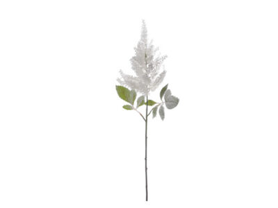 Astilbe-Stiel mit Frostoptik, weiß