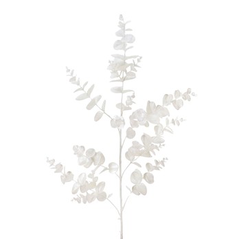 Eucalyptus Leaf Stem, White