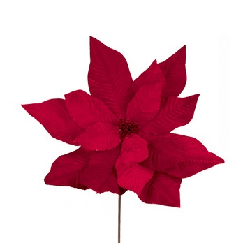 Giant Poinsettia Stem, Red